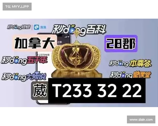 加拿大28实力分析与发展趋势探讨及未来潜力评估 加拿大28实力分析与发展趋势探讨及未来潜力评估